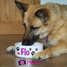 Load image into Gallery viewer, Pet Bowl