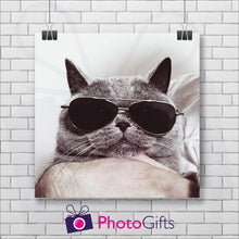 Load image into Gallery viewer, White painted brick wall with a square poster hanging from two clips. The poster is of the face of a grey cat with dark sunglasses on looking straight ahead. The cat looks to be held in a persons hand. As produced by Photogifts.co.uk
