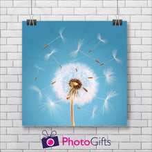 Load image into Gallery viewer, Square poster print with a close up shot of a dandelion seed head starting to come apart in the wind on a sky blue background. The picture is hung by two metal clips on a white painted brick wall. As produced by Photogifts.co.uk
