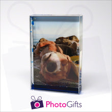 Load image into Gallery viewer, 152mm x 102mm (6&quot; x 4&quot;) clear acrylic freestanding block, in portrait orientation,  that can be personalised with your own choice of image. The block is filled with some blue gel suspended within a clear liquid. The chosen image is clipped to the back of the block and shows through so you can see it behind the liquid. When the block is shaken the blue gel will slowly make its way down to the bottom of the block similar to a snow globe
