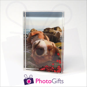 152mm x 102mm (6" x 4") clear acrylic freestanding block, in portrait orientation,  that can be personalised with your own choice of image. The block is filled with tiny red hearts suspended within a clear liquid. The chosen image is clipped to the back of the block and shows through so you can see it behind the liquid. When the block is shaken the red hearts will slowly make its way down to the bottom of the block similar to a snow globe