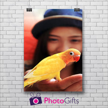 Load image into Gallery viewer, White painted brick wall with a portrait picture of a  girl in a blue hat with a yellow parrot in her hand and the Photogifts logo at the bottom as produced by Photogifts.co.uk
