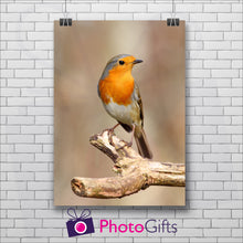 Load image into Gallery viewer, Portrait of a Red Robin bird sitting on an old tree branch with the background blurred out. The picture is hanging against a white painted brick wall and is being held in position by two black metal clips. All as produced by Photogifts.co.uk
