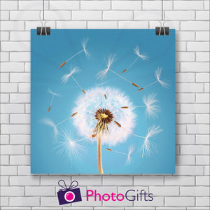 Square poster print with a close up shot of a dandelion seed head starting to come apart in the wind on a sky blue background. The picture is hung by two metal clips on a white painted brick wall. As produced by Photogifts.co.uk
